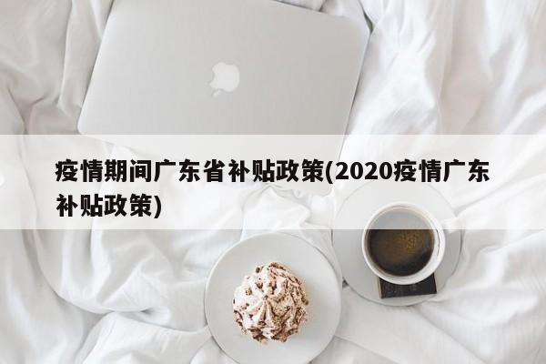 疫情期间广东省补贴政策(2020疫情广东补贴政策)