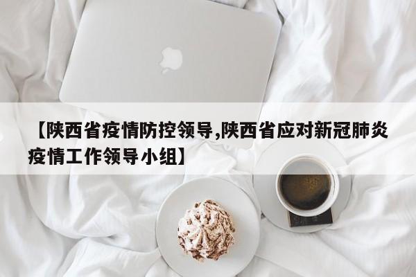 【陕西省疫情防控领导,陕西省应对新冠肺炎疫情工作领导小组】
