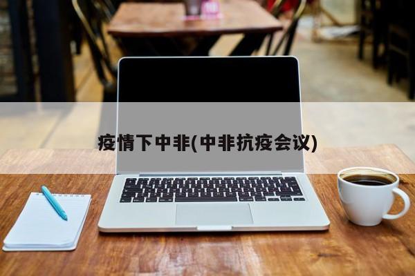 疫情下中非(中非抗疫会议)